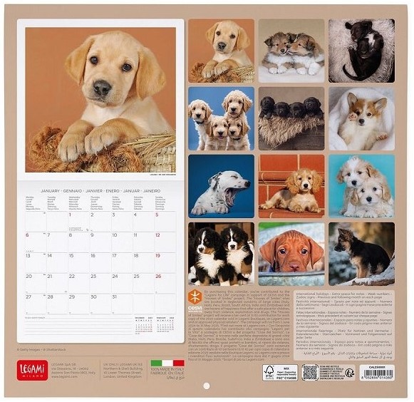 CALENDARIO WALL - 2025 - PUPPIES - 30X29 - DOGS